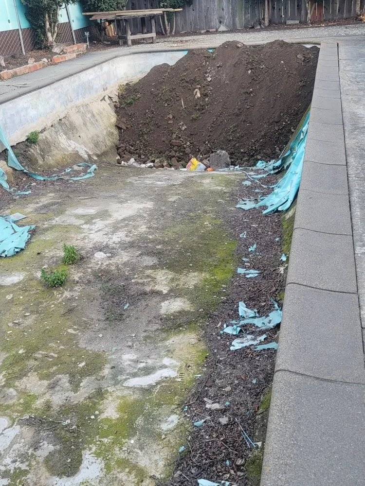 Expert outdoor landscaping for year-round maintenance across San Leandro, CA - Free Dirt Bay Area