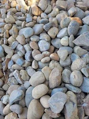 Free Dirt Bay Area Logo