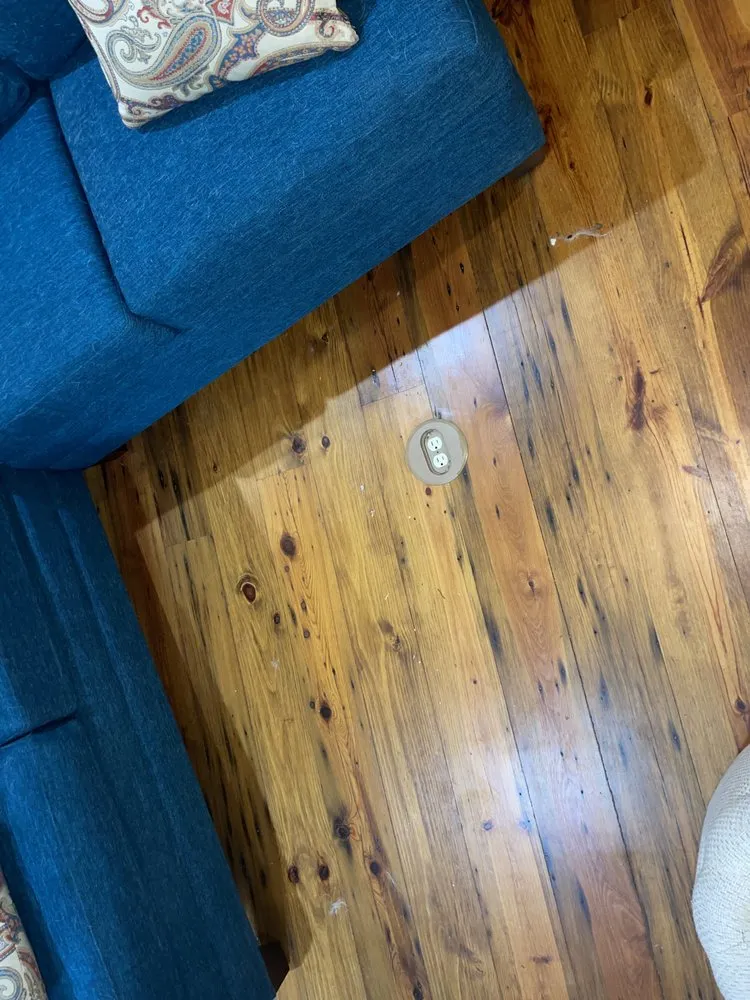 Trusted residential landscaping for residential properties in Monroe, LA by Free Love Pet Walking