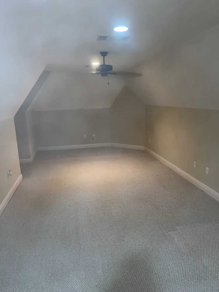 Top-rated yard cleanup service near you in Monroe, LA by Free Love Pet Walking