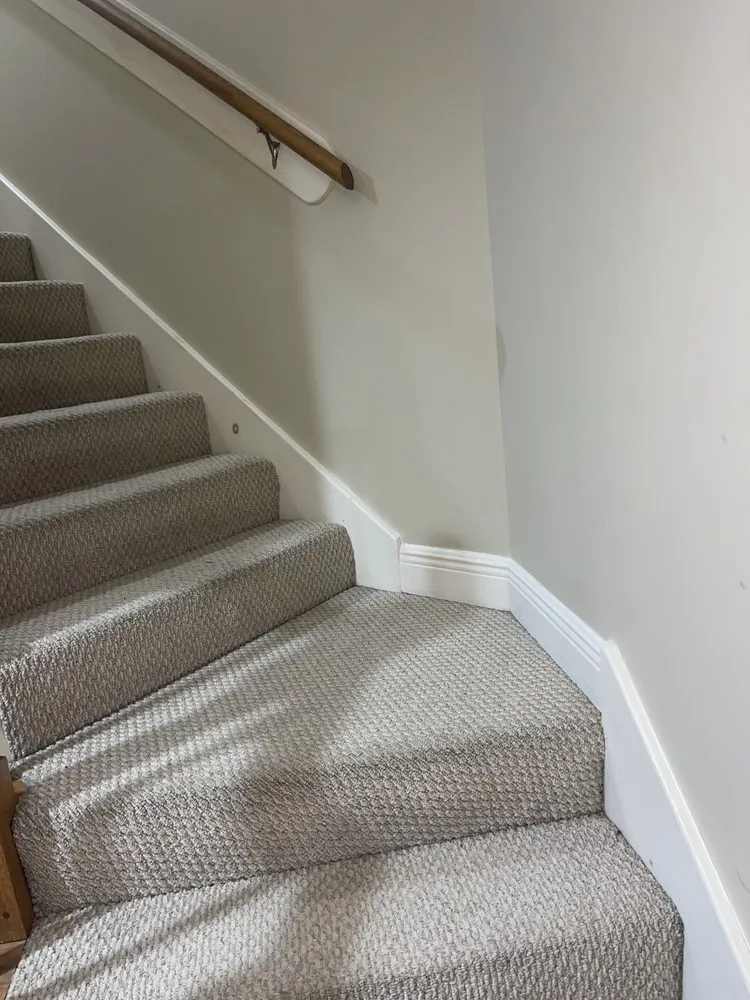 Trusted yard cleanup service for homes in Monroe, LA by Free Love Pet Walking