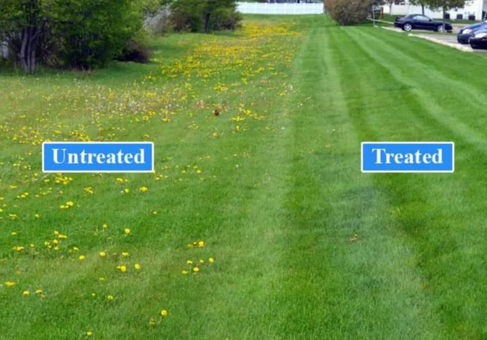Affordable lawn care service with custom design in Topeka, KS by Free State Gutter Cleaning