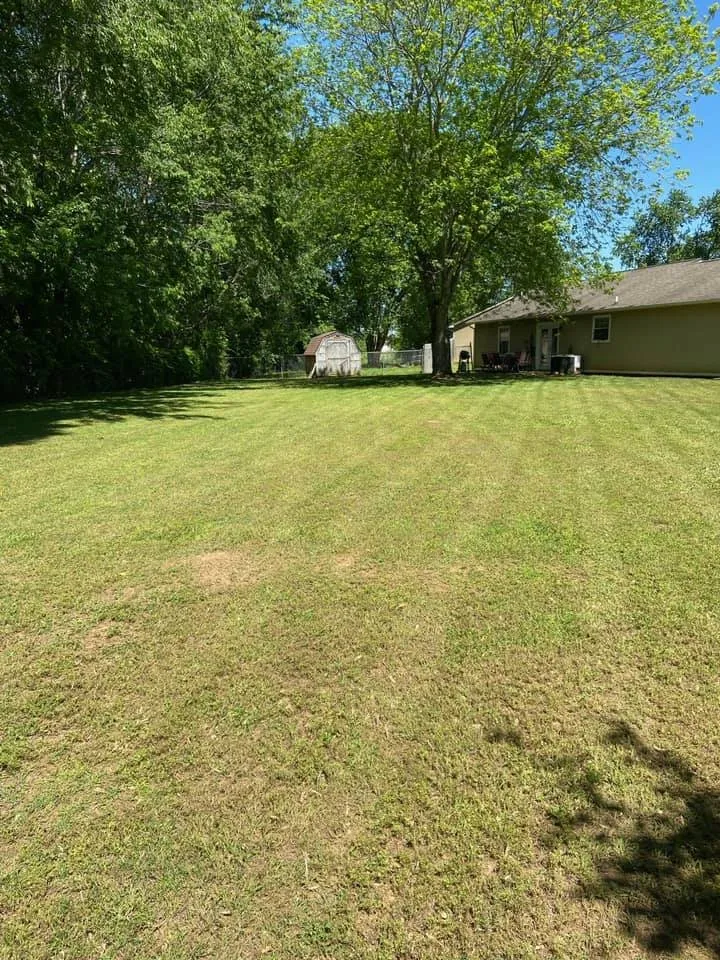 Professional yard cleanup service in Clarksville, TN by FreeBee Lawncare