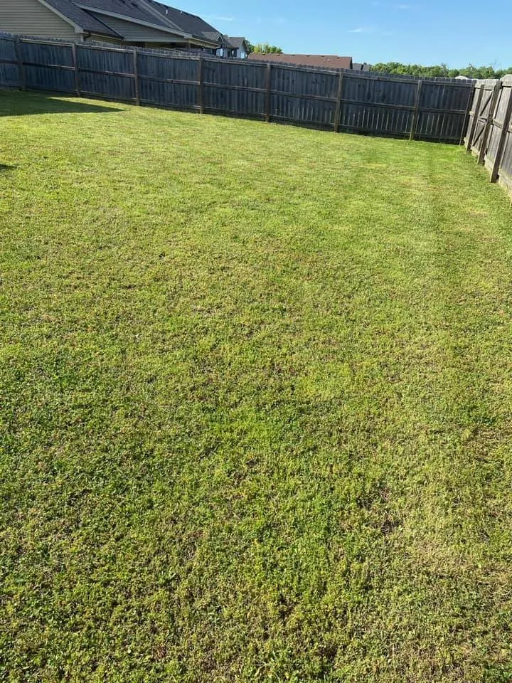 Affordable lawn care service for homes in Clarksville, TN by FreeBee Lawncare