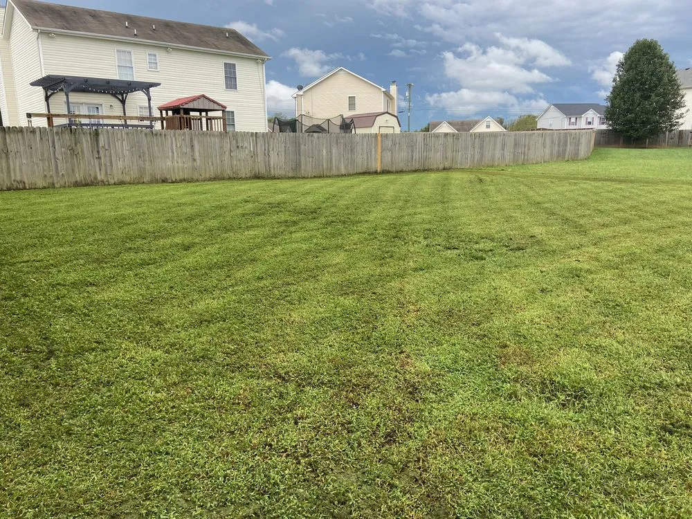 Local residential landscaping in Clarksville, TN - FreeBee Lawncare