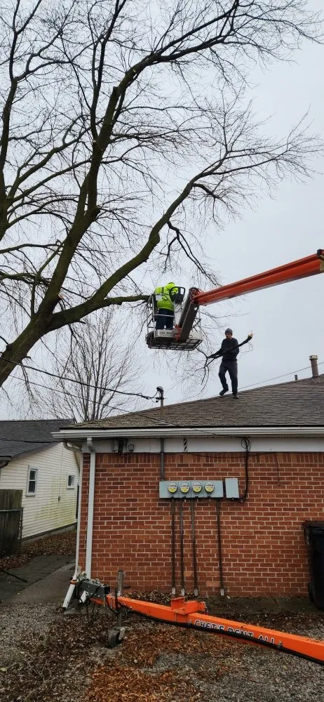 Expert yard maintenance for homes in St Helen, MI by Freebie Painting & Handyman Services