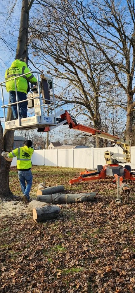 Top-rated lawn care service for homes across St Helen, MI - Freebie Painting & Handyman Services