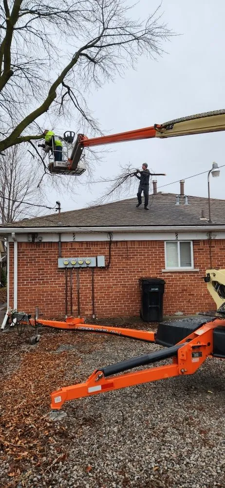 Trusted landscape installation in St Helen, MI by Freebie Painting & Handyman Services