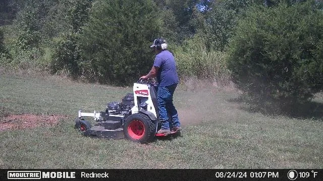 Local landscaping services in Lewisburg, TN by Freebird Services