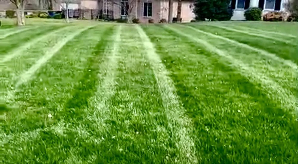 Custom garden landscaping with custom design across Bowling Green, KY - Freedom Cuts