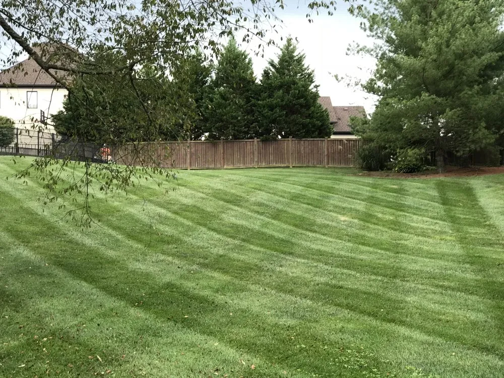 Reliable yard maintenance with custom design in Bowling Green, KY by Freedom Cuts