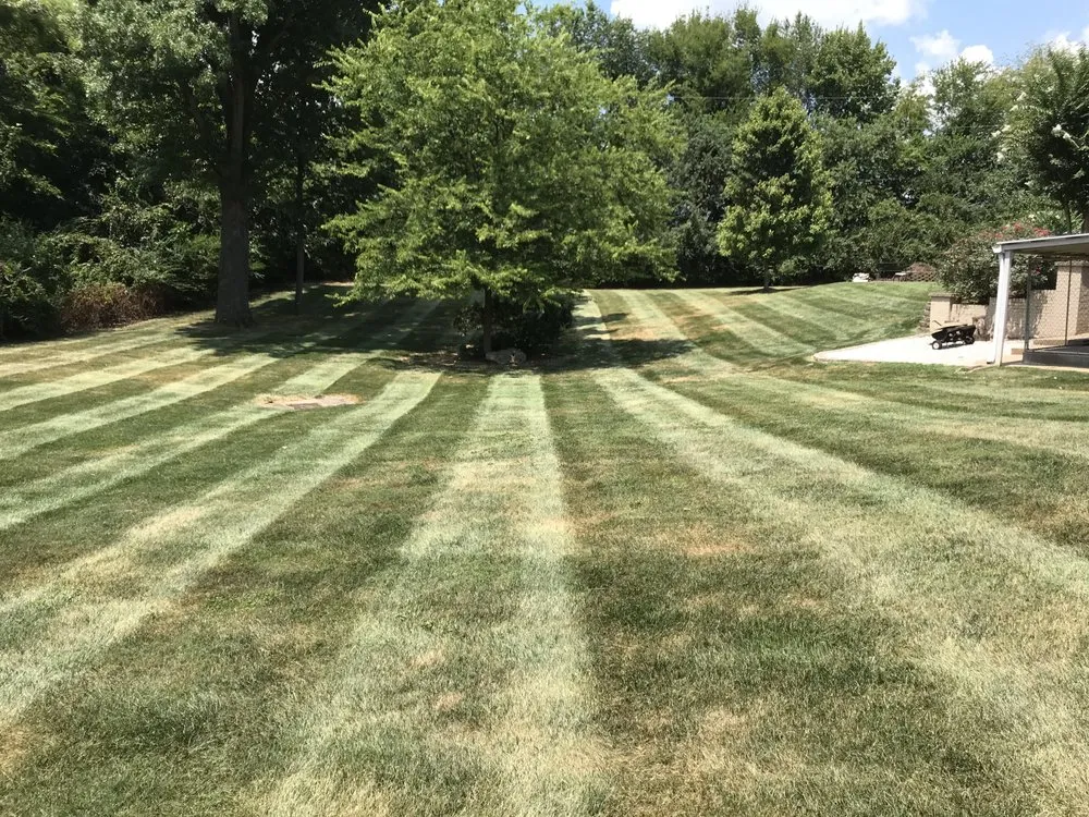 Trusted landscaping services near you across Bowling Green, KY - Freedom Cuts