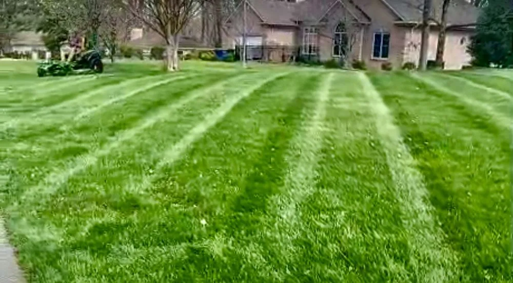 Reliable landscape design experts serving Bowling Green, KY - Freedom Cuts