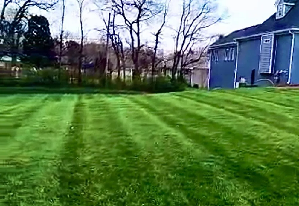 Custom lawn mowing service in Bowling Green, KY - Freedom Cuts