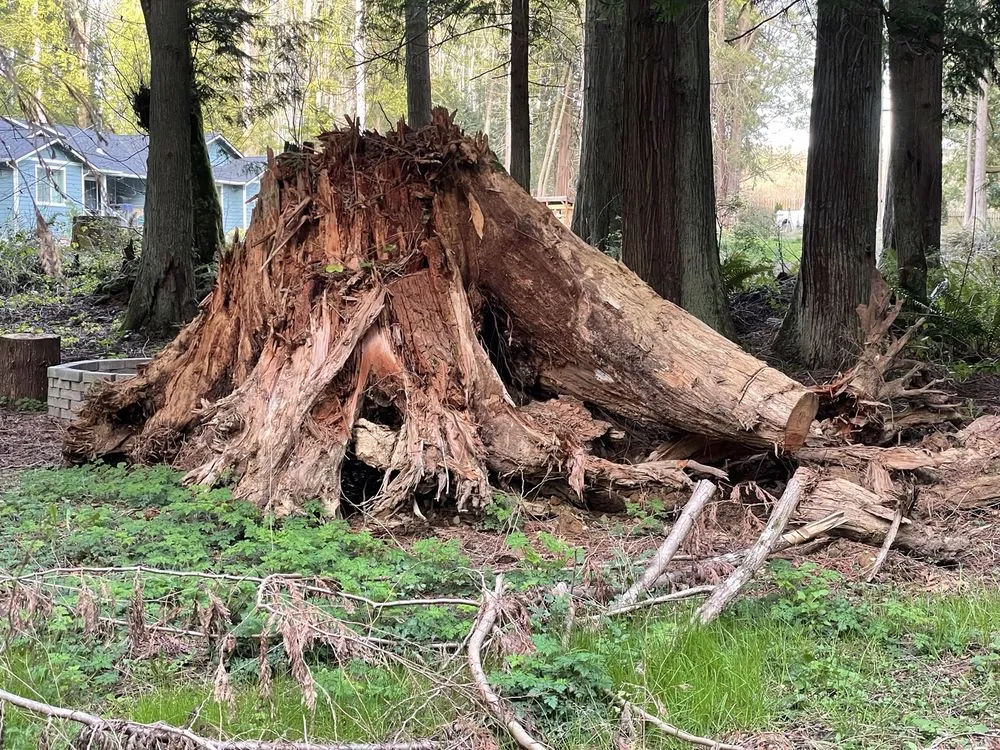 Affordable residential landscaping for outdoor upgrades across Poulsbo, WA - Freedom Excavation