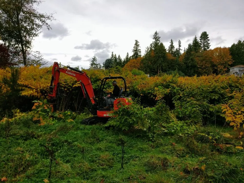 Reliable lawn care service in Poulsbo, WA by Freedom Excavation