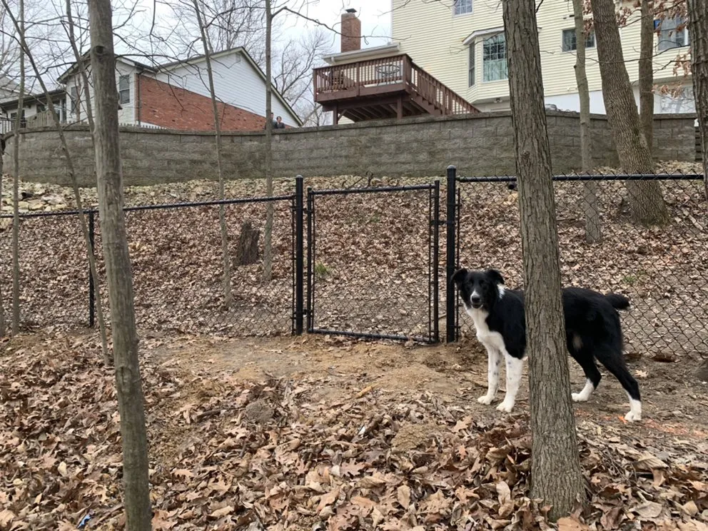 Trusted landscaping services experts serving Pacific, MO - Freedom Fence and Landscape