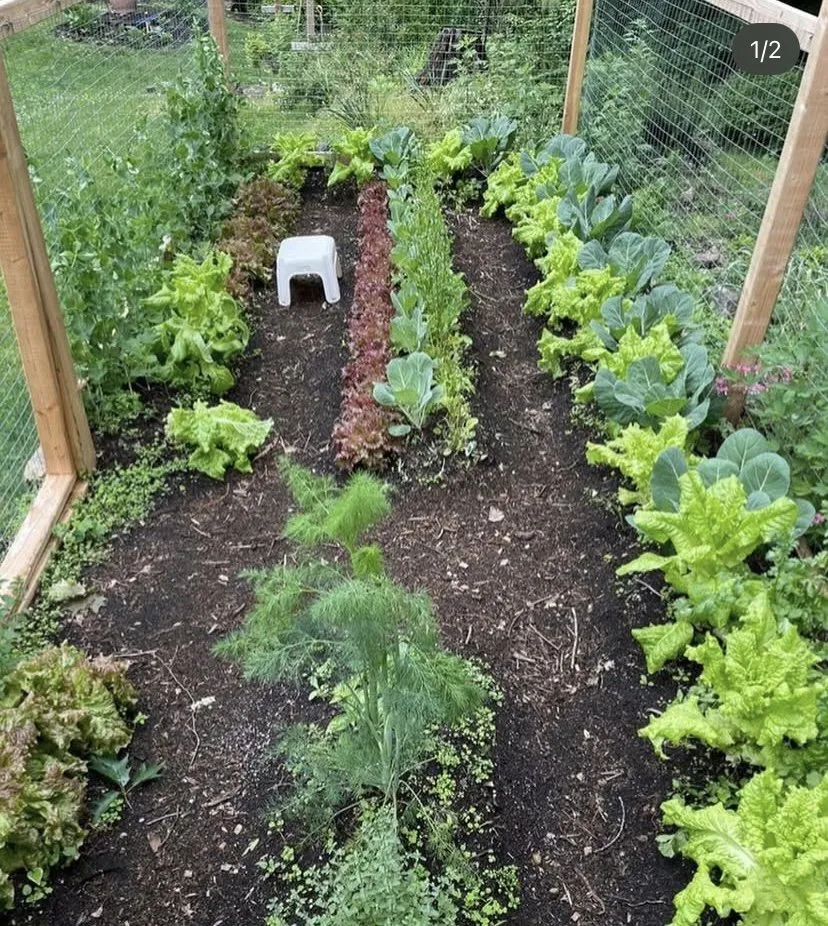 Affordable landscape design for residential properties across Bethlehem, PA - Freedom Forest