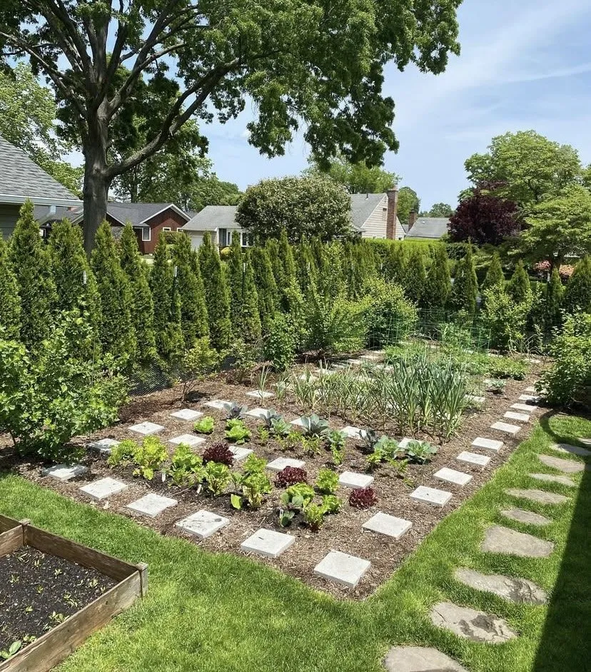 Local yard cleanup service in Bethlehem, PA - Freedom Forest