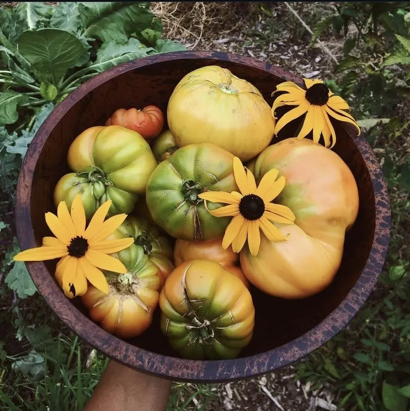 Reliable garden landscaping in Bethlehem, PA by Freedom Forest