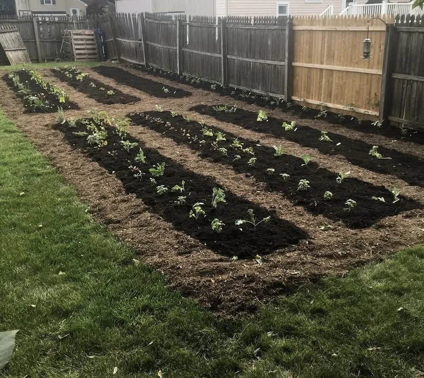 Custom landscape design for outdoor upgrades in Bethlehem, PA by Freedom Forest