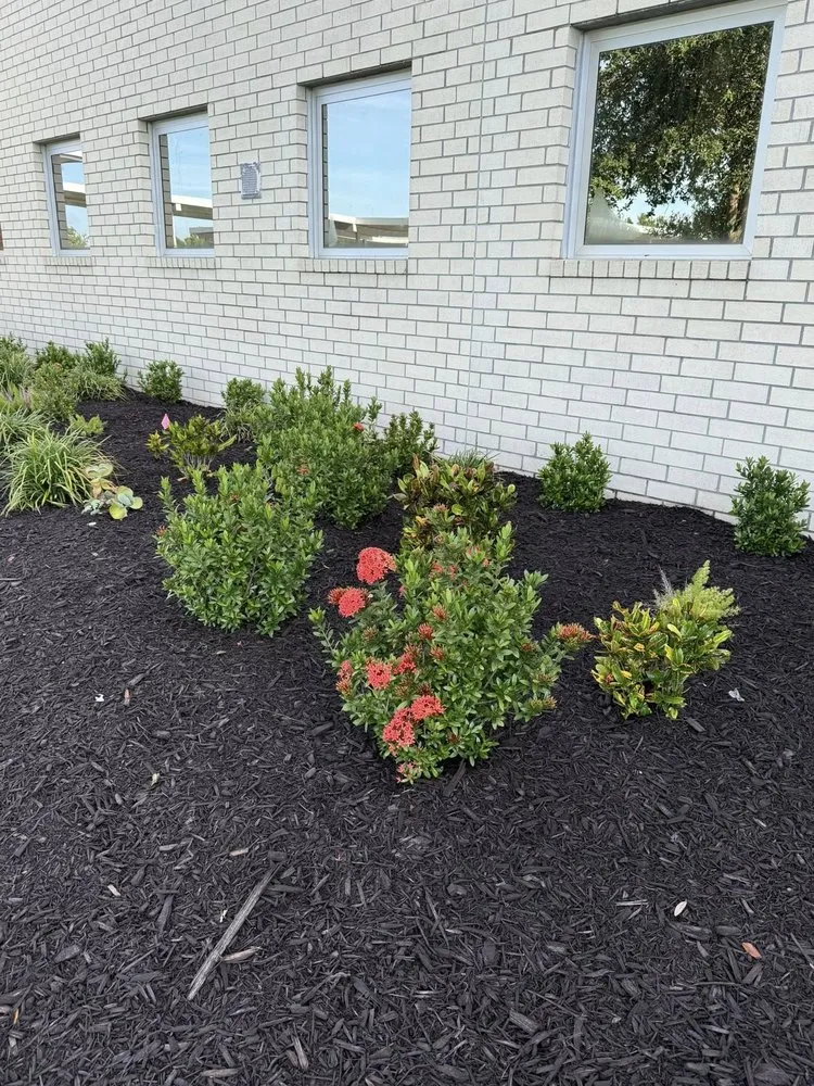 Trusted landscape installation for beautiful yards in Bradenton, FL by Freedom Ground Coverings