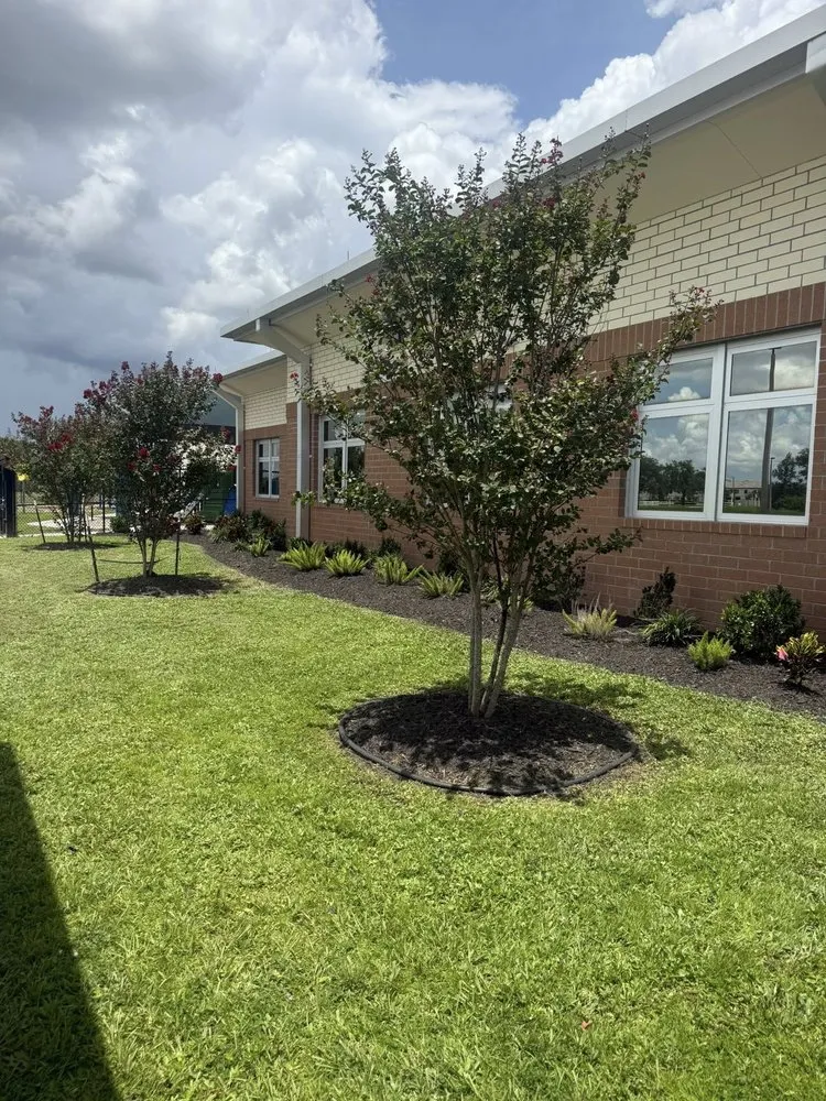 Local yard cleanup service near you across Bradenton, FL - Freedom Ground Coverings