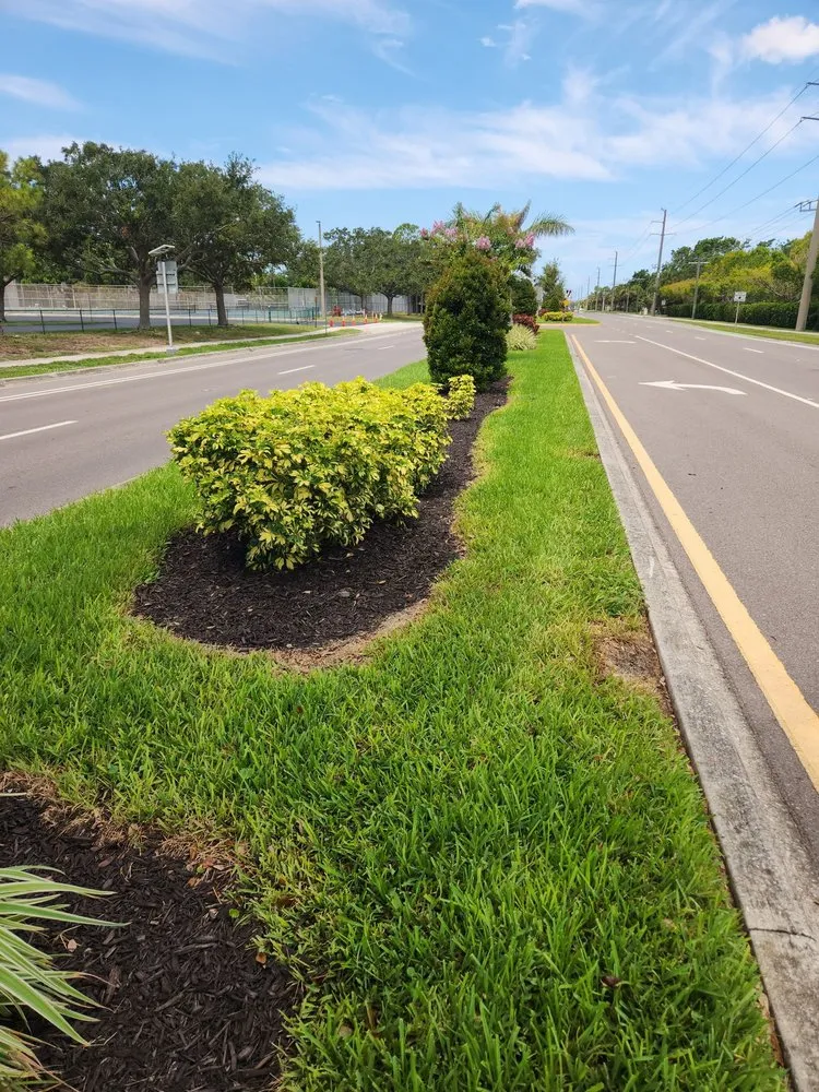 Affordable yard cleanup service with custom design across Bradenton, FL - Freedom Ground Coverings