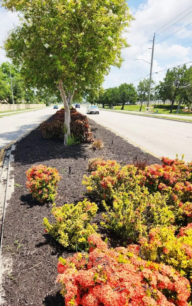 Top-rated lawn care service experts serving Bradenton, FL - Freedom Ground Coverings