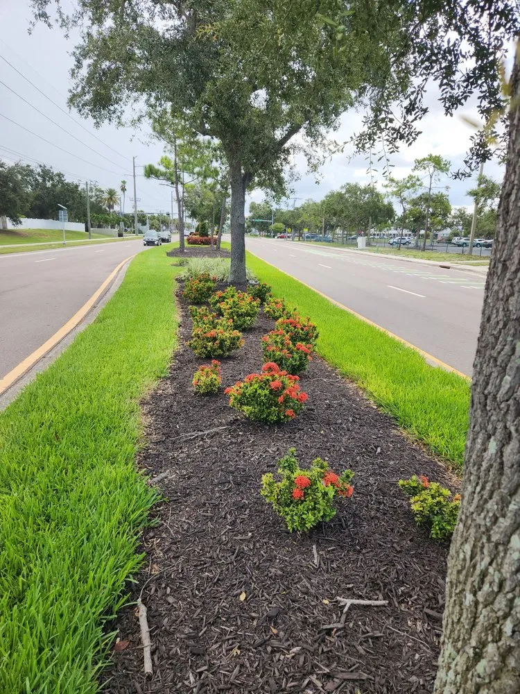 Local yard maintenance in Bradenton, FL by Freedom Ground Coverings