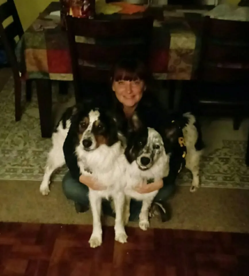 Professional landscape design for homes in Prescott Valley, AZ by Freedom Home Services