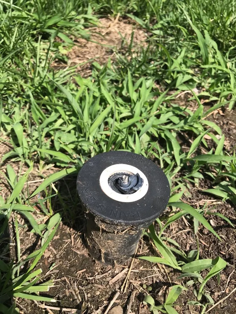 Reliable garden landscaping in Perris, CA by Freedom Landscape