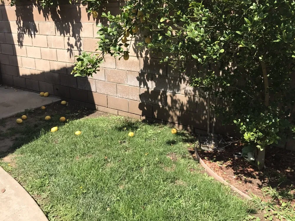 Professional landscape installation with custom design across Perris, CA - Freedom Landscape