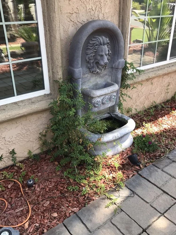 Top-rated yard cleanup service in Perris, CA by Freedom Landscape