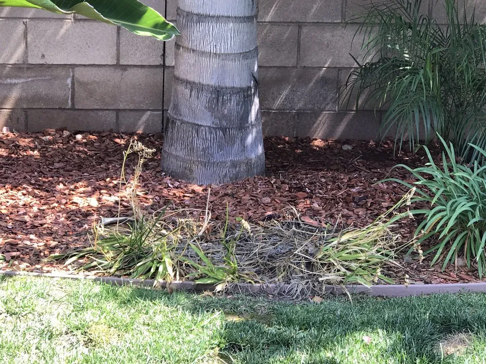 Local landscaping services experts serving Perris, CA - Freedom Landscape