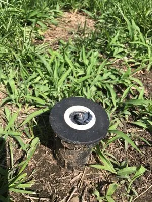 Freedom Landscape Logo