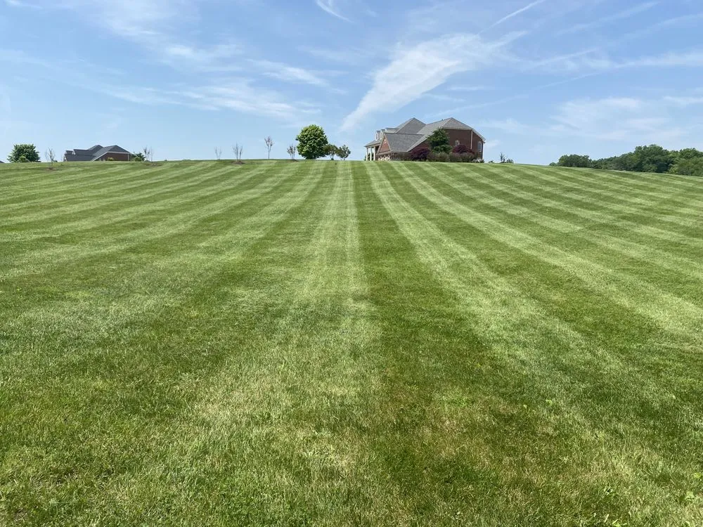 Affordable landscaping services near you across Manassas, VA - Freedom Lawn & Landscape