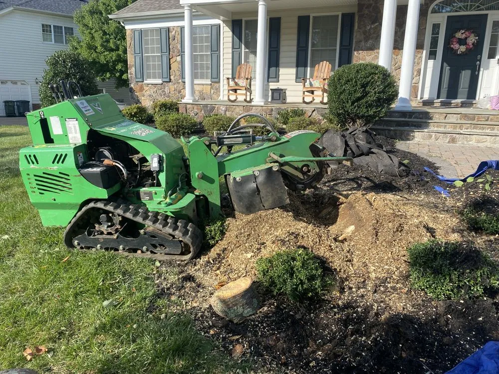 Professional residential landscaping for beautiful yards in Manassas, VA by Freedom Lawn & Landscape