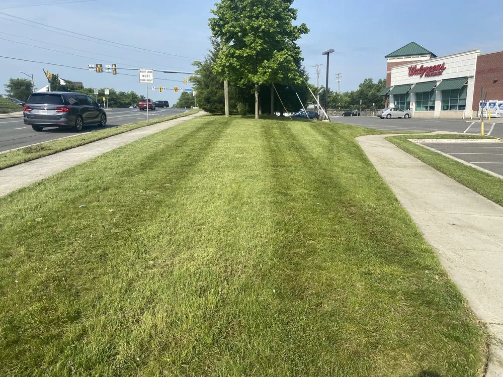 Local landscape installation experts serving Manassas, VA - Freedom Lawn & Landscape