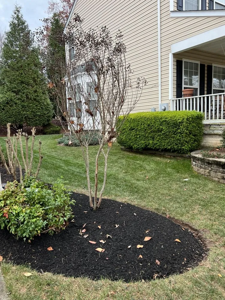 Affordable landscape installation for beautiful yards across Manassas, VA - Freedom Lawn & Landscape