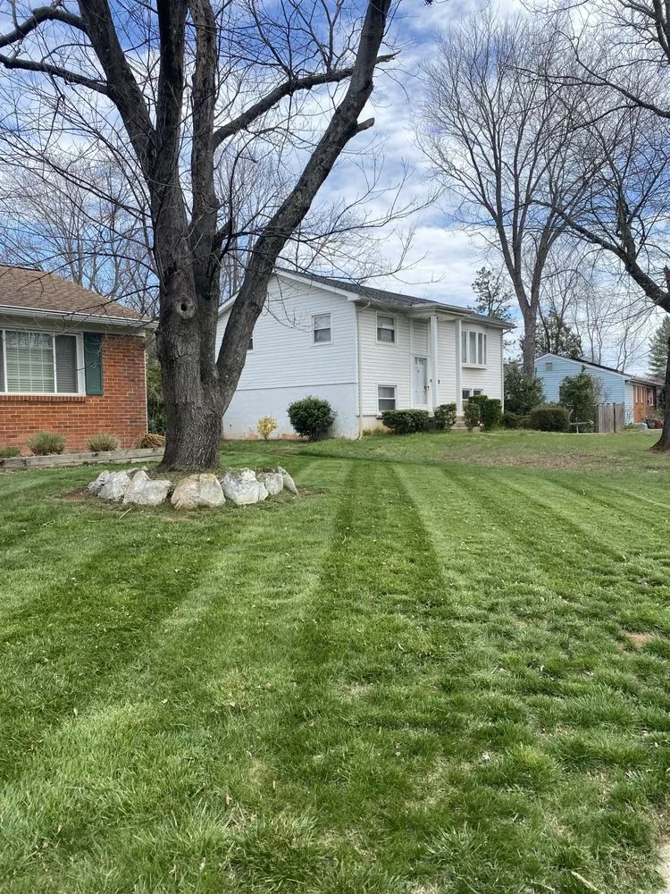 Local lawn care service in Manassas, VA by Freedom Lawn & Landscape