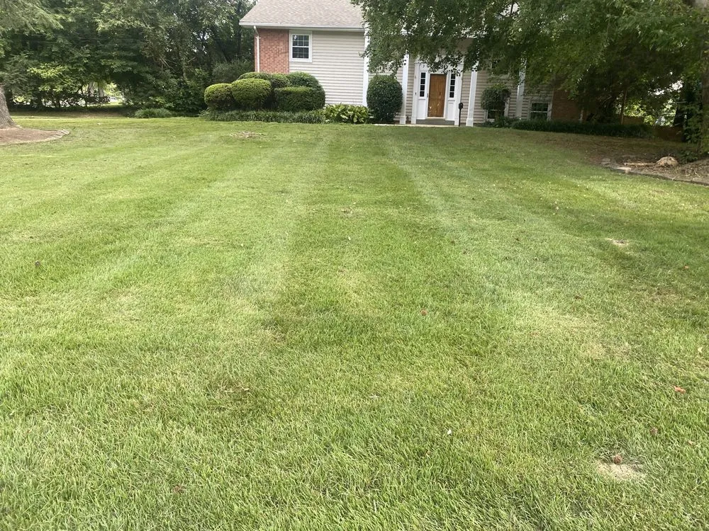 Custom lawn care service with custom design in Manassas, VA by Freedom Lawn & Landscape