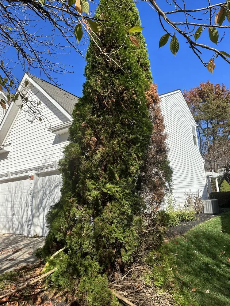 Trusted residential landscaping for residential properties in Manassas, VA by Freedom Lawn & Landscape