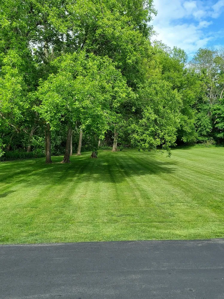 Expert lawn care service for residential properties across Oswego, NY - Freedom Lawn and Home Services