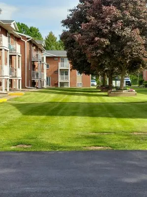 Freedom Lawn and Home Services Logo