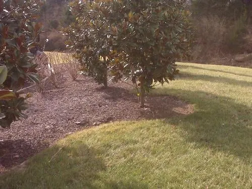 Reliable garden landscaping for year-round maintenance in Mount Juliet, TN by Freedom Lawn and Landscape