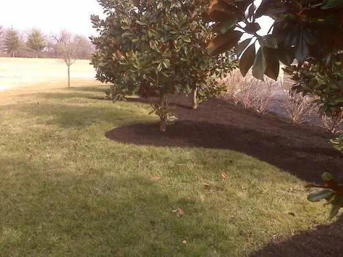 Reliable landscape installation for residential properties across Mount Juliet, TN - Freedom Lawn and Landscape