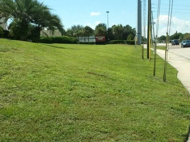 Local landscape installation experts serving Sebring, FL - Freedom Lawn Care & Landscaping