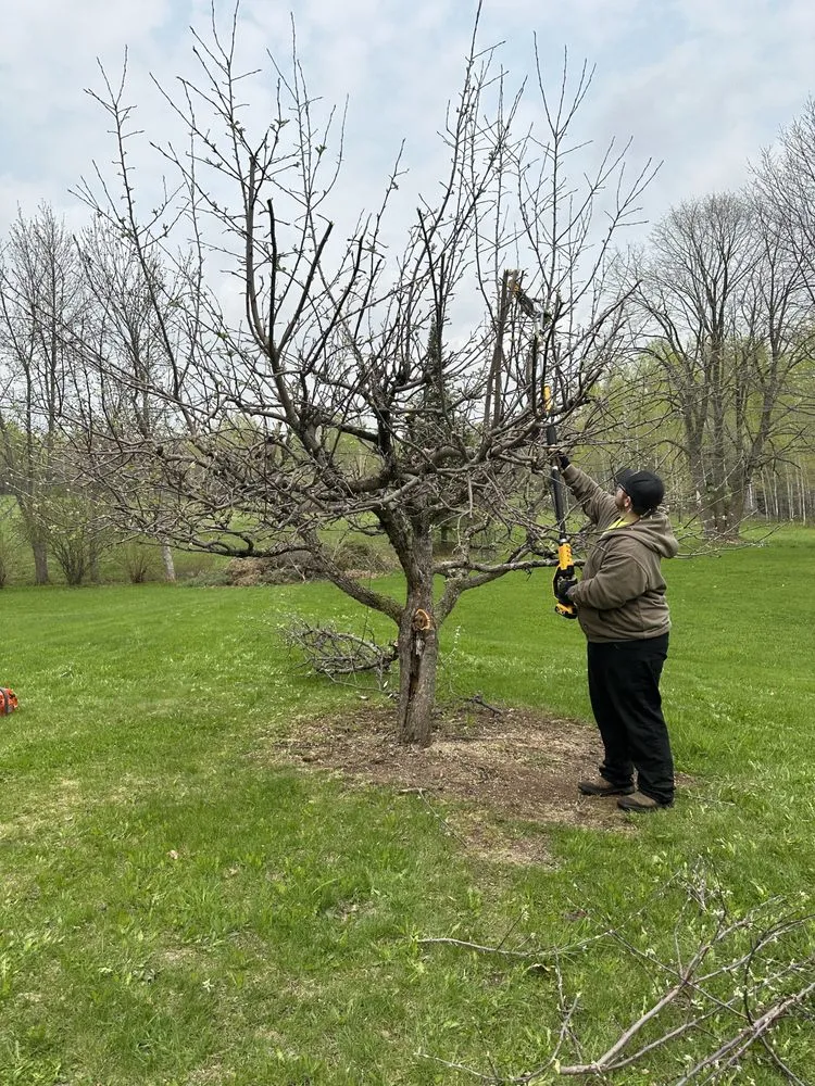 Custom residential landscaping in Barnum, MN - Freedom Lawn care & Outdoor Restorations