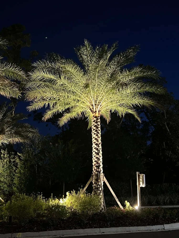 Trusted garden landscaping experts serving Middleburg, FL - Freedom Lawn Care & Tractor Services